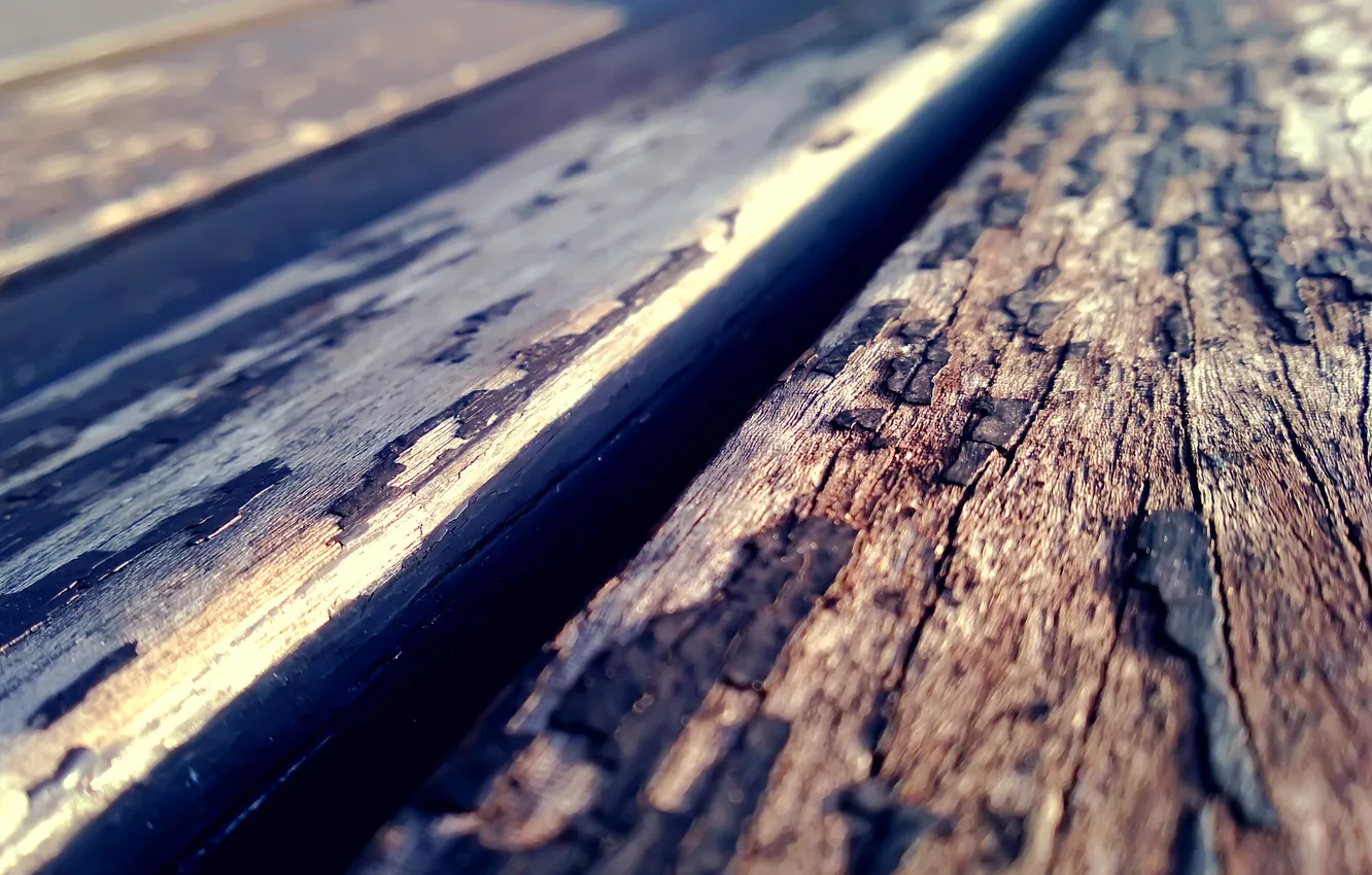 Photo wallpaper Board, texture, bark, Sunny, wood