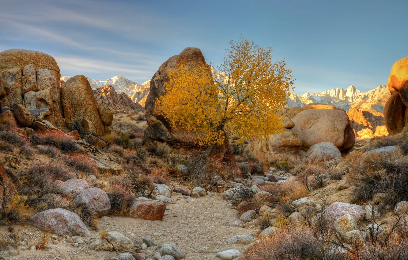 Photo wallpaper autumn, the sky, clouds, trees, sunset, mountains, stones, chaos