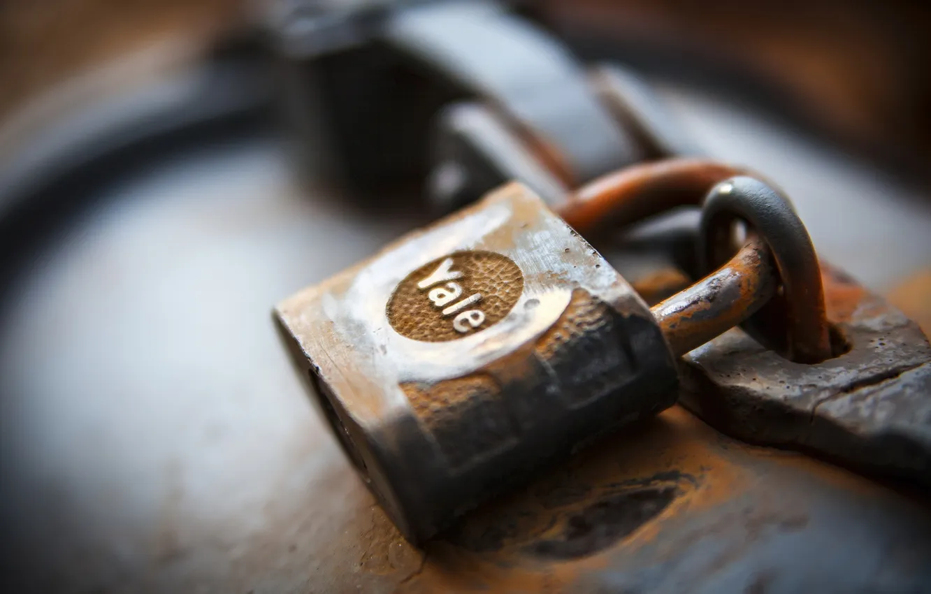 Photo wallpaper macro, background, castle