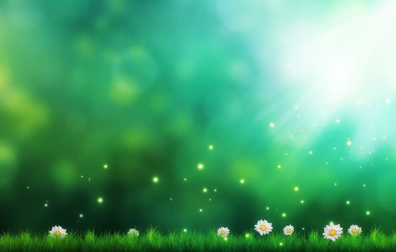 Photo wallpaper flowers, green, background