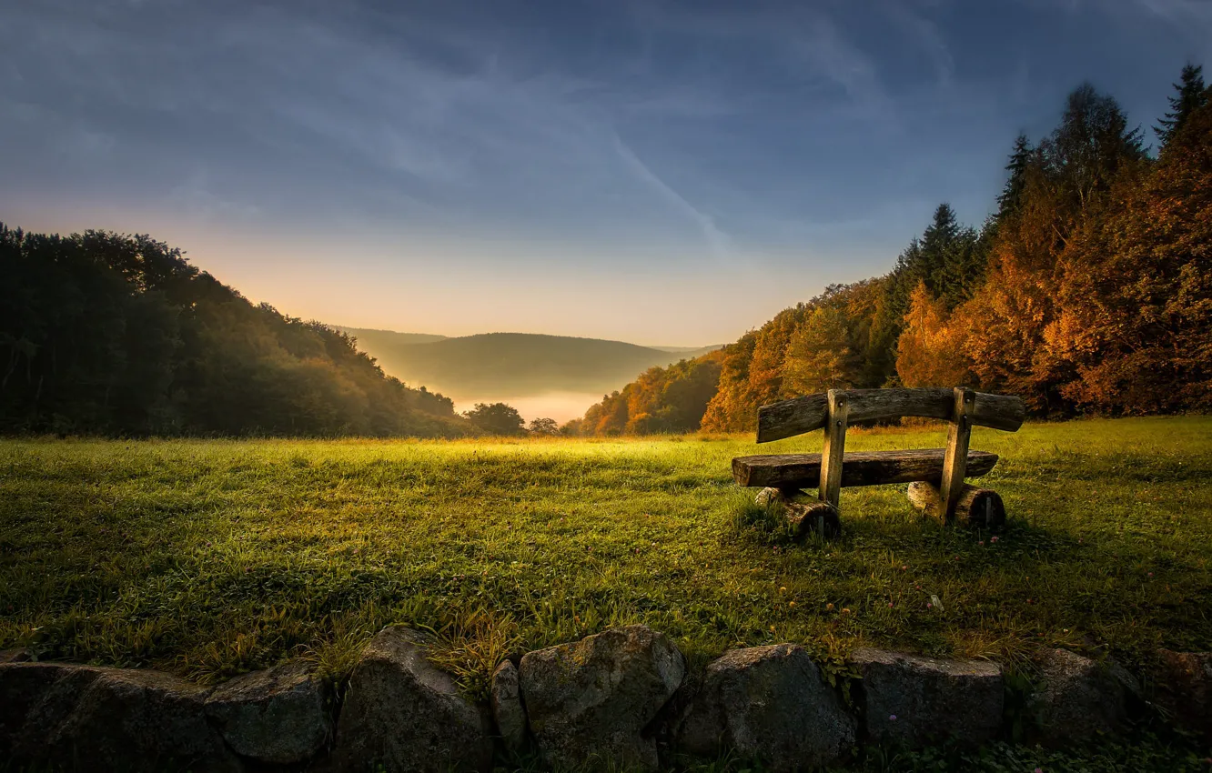 Photo wallpaper forest, mountains, field, shop, bench, autumn, stones