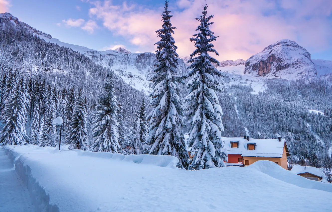 Photo wallpaper winter, forest, snow, landscape, mountains, nature, home, Alps