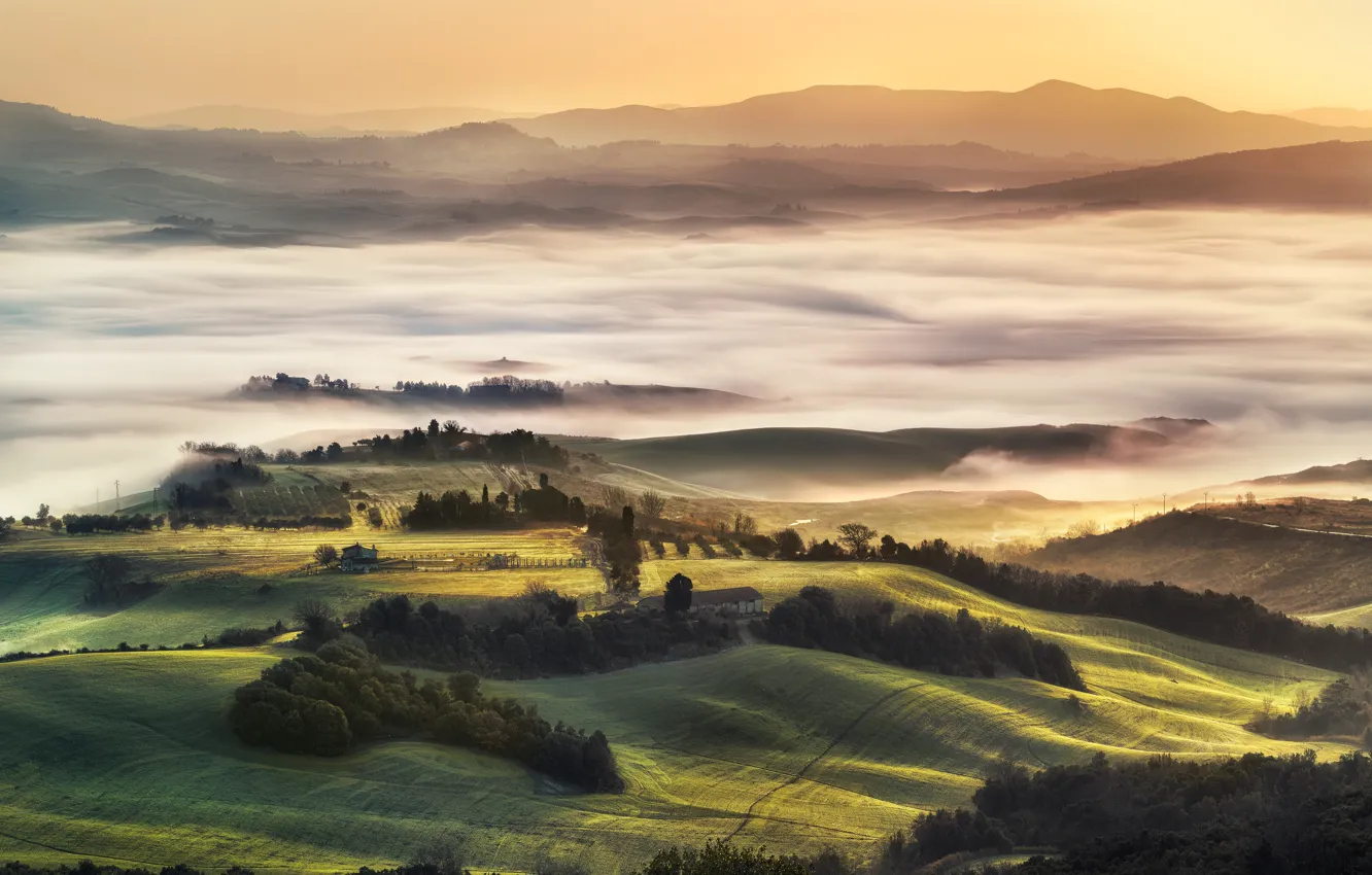 Photo wallpaper field, fog, hills, meadow, Italy, Tuscany
