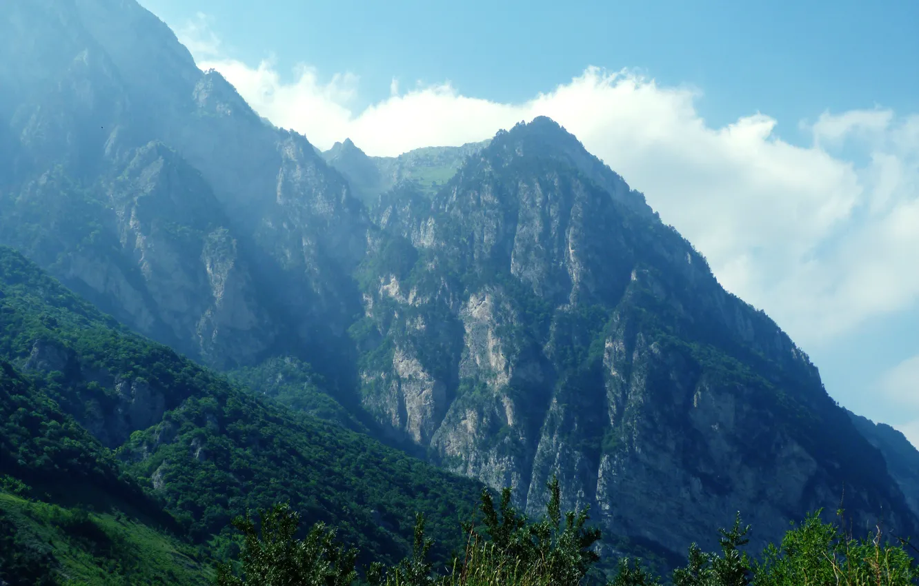 Photo wallpaper greens, mountains, nature, The Caucasus