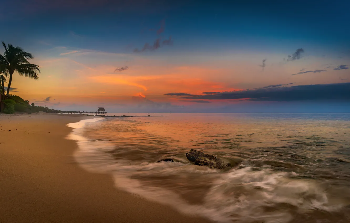 Photo wallpaper sea, beach, sunset, palm trees, coast