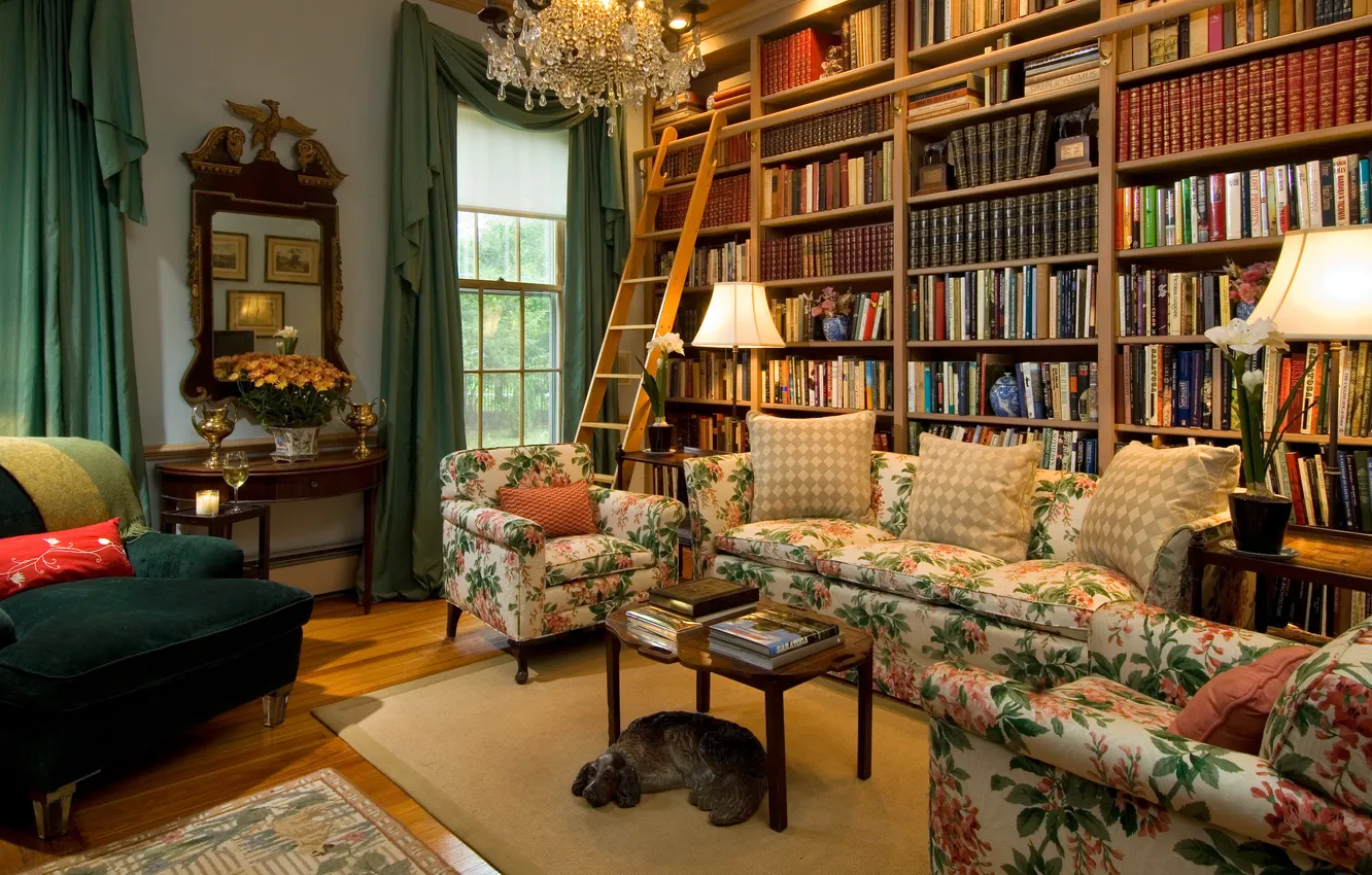 Photo wallpaper design, style, interior, library, Netherlands, living room, Netherlands, South Holland