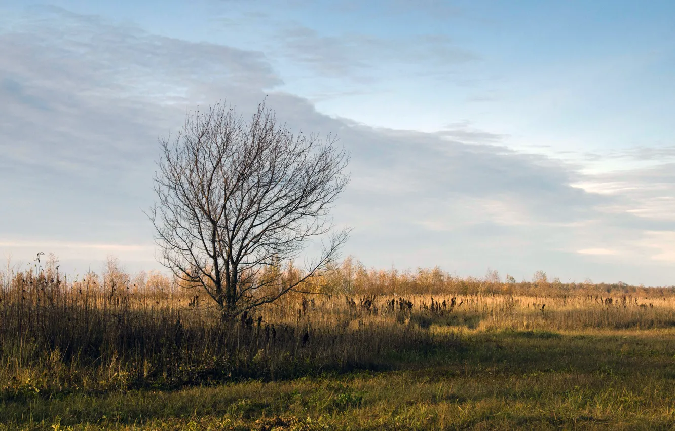 Photo wallpaper autumn, landscape, nature