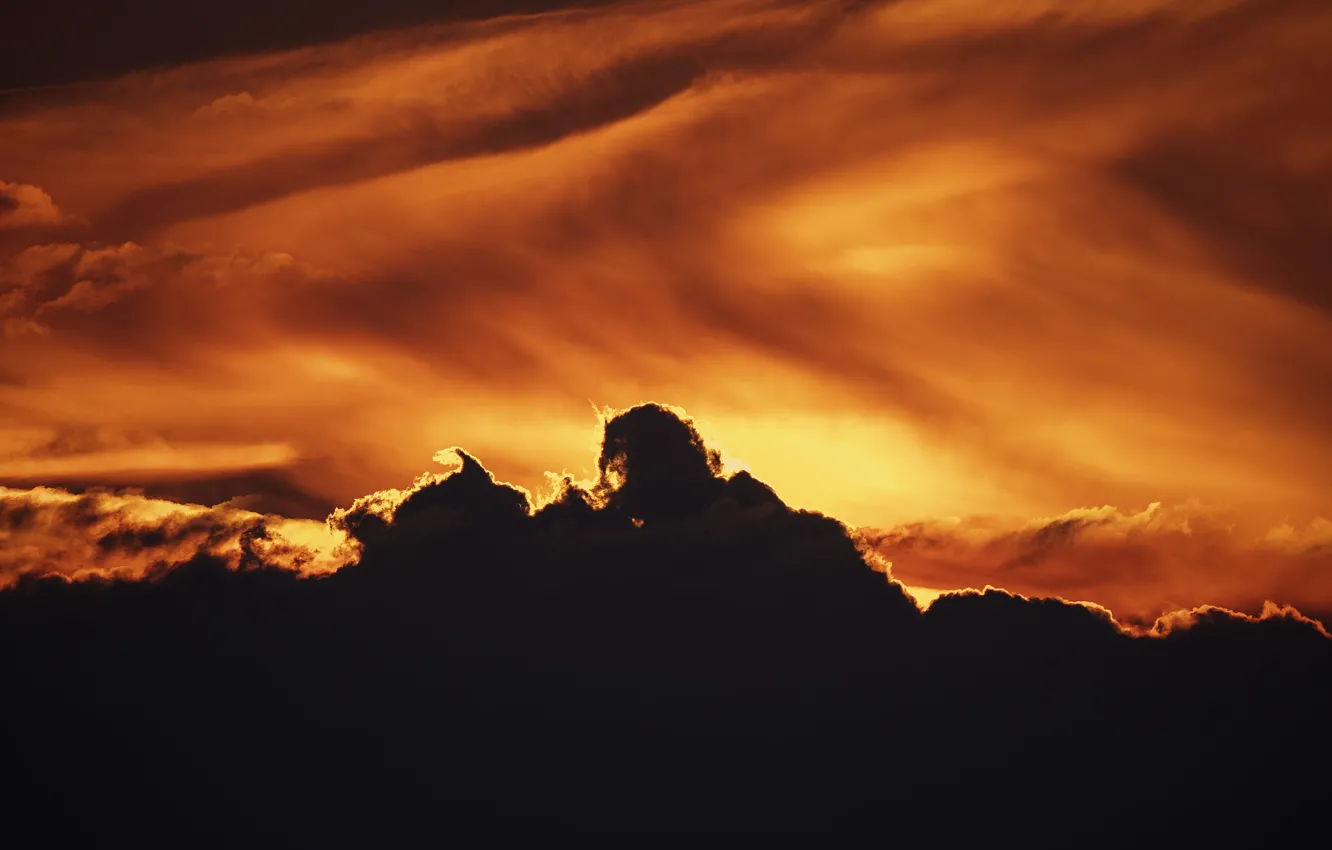 Photo wallpaper nature, clouds, sunlight, Sun Goes Down, These cranes