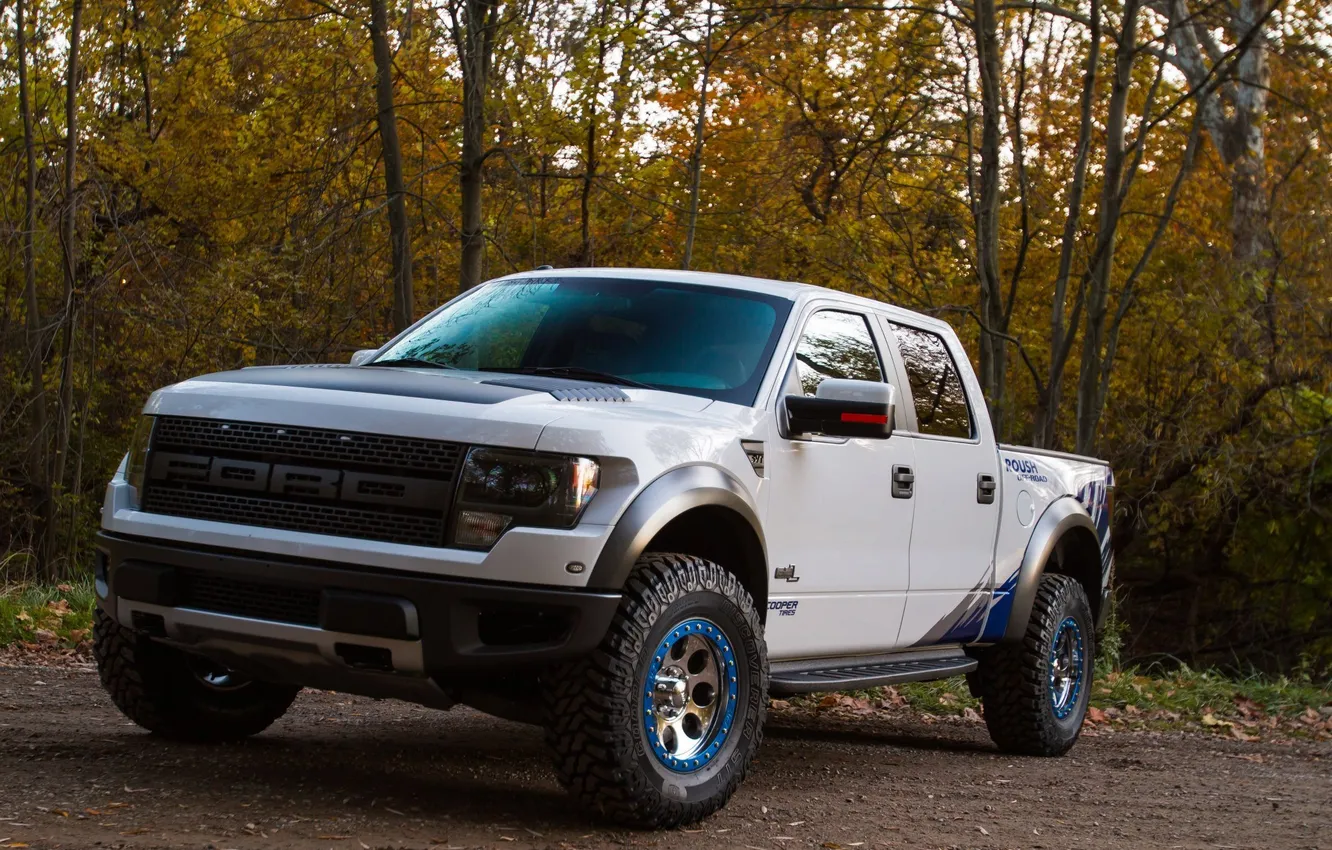 Photo wallpaper car, machine, trees, Ford, tuning, F-150, SVT Raptor, Roush