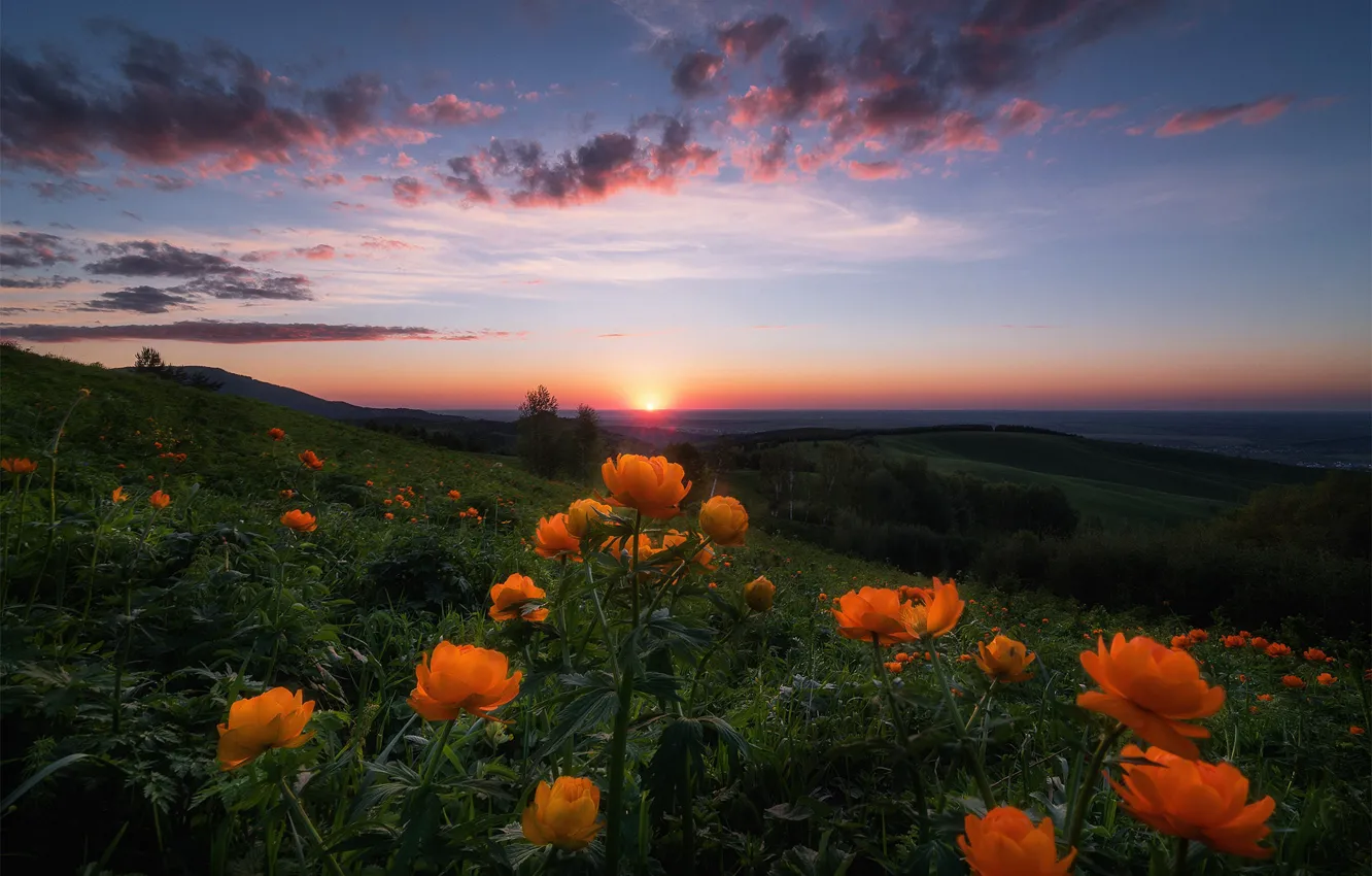 Photo wallpaper the sky, the sun, clouds, flowers, mountains, hills, the evening, horizon