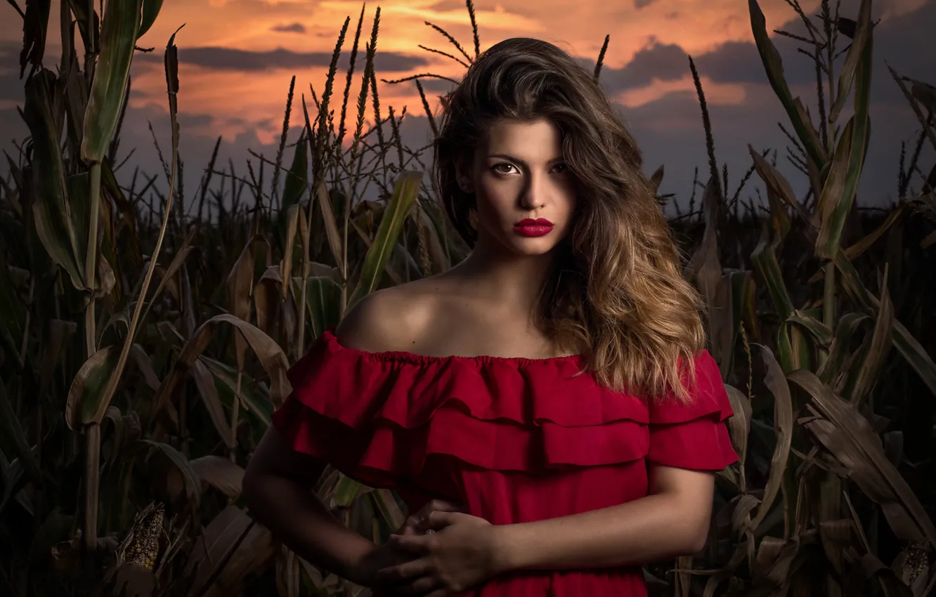 Photo wallpaper field, look, girl, sunset, the evening, makeup