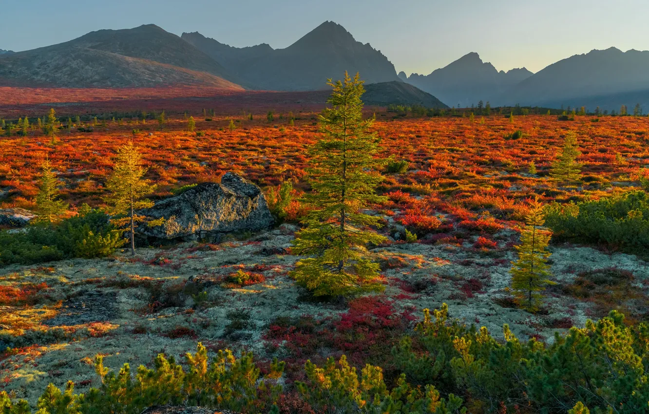 Photo wallpaper autumn, landscape, mountains, nature, vegetation, Vladimir Ryabkov, Kolyma