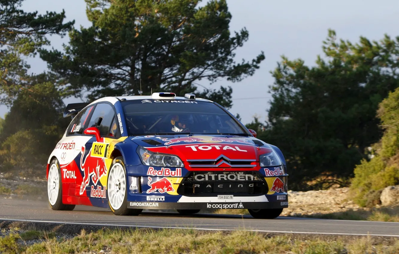 Photo wallpaper Auto, Machine, Citroen, Citroen, Red Bull, WRC, Rally, The front