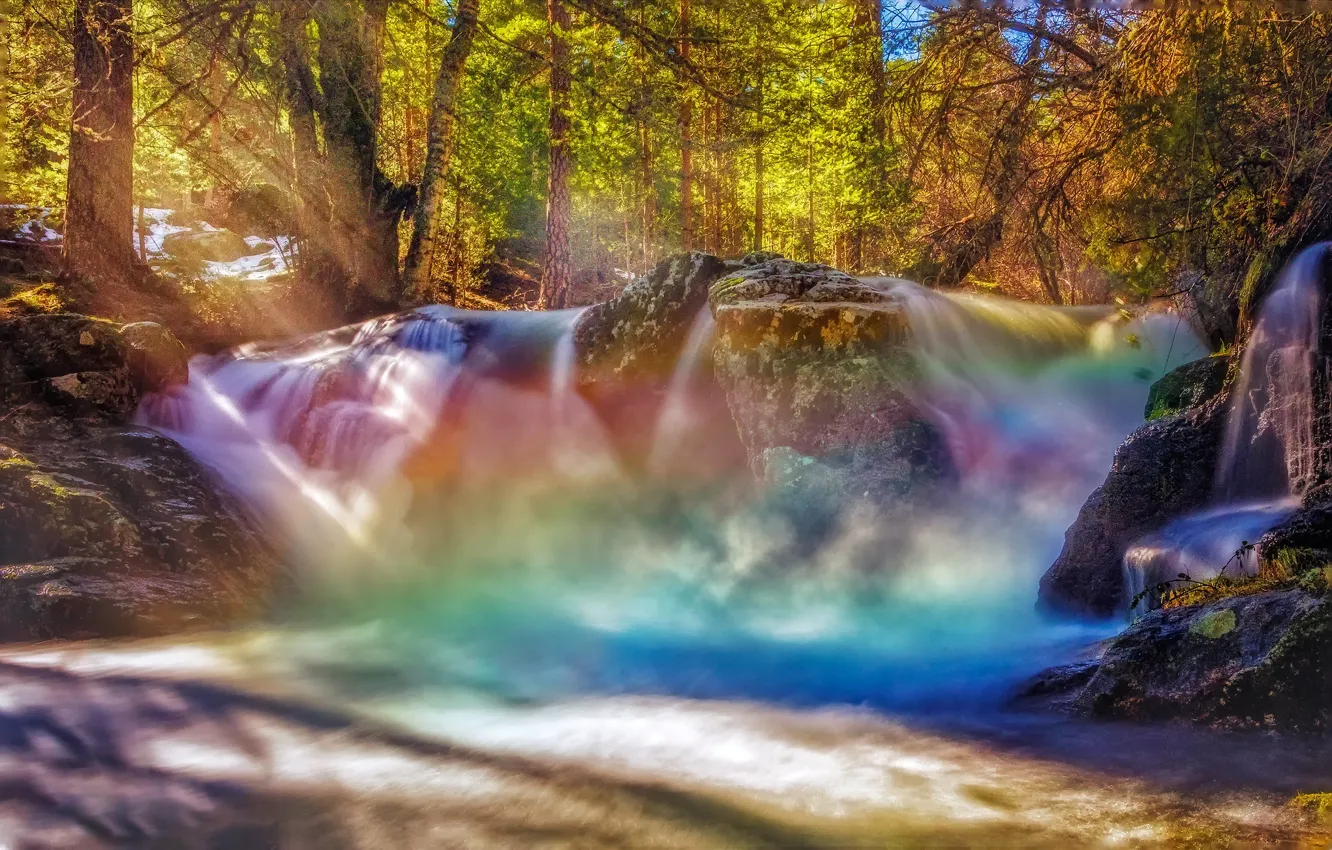 Photo wallpaper forest, squirt, waterfall, rainbow