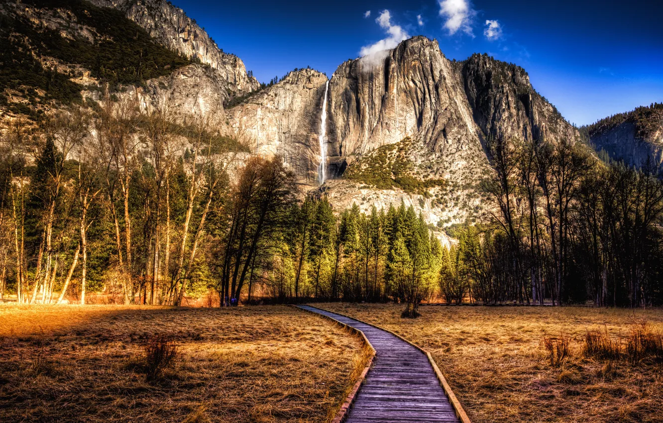 Photo wallpaper forest, the sky, grass, the sun, clouds, trees, mountains, stones