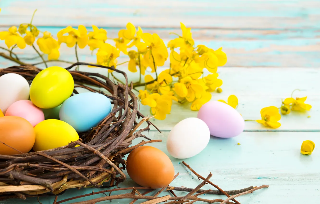 Photo wallpaper flowers, branches, holiday, eggs, Easter, socket