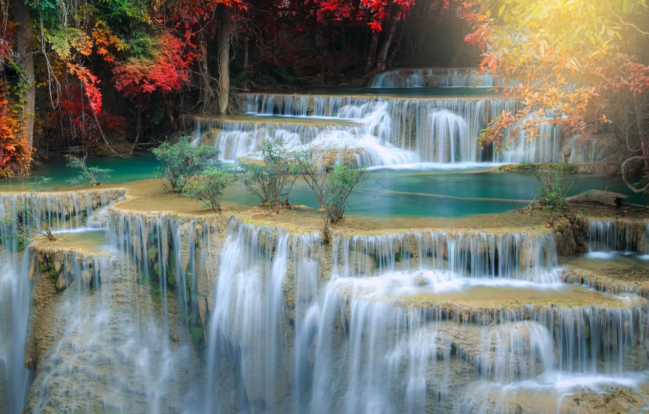 Photo wallpaper autumn, light, trees, branches, nature, rocks, shore, foliage