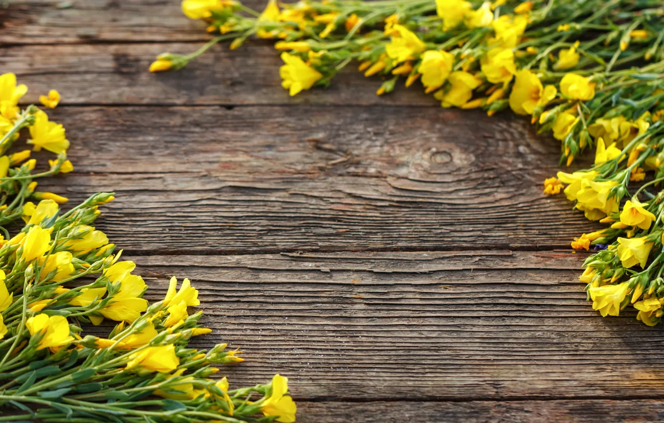 Photo wallpaper flowers, Board, yellow, yellow, wood, blossom, flowers, spring