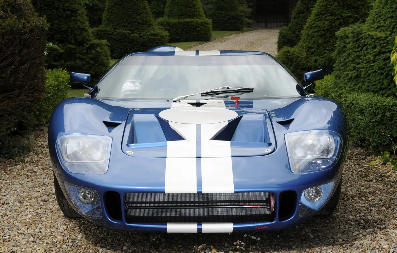 Photo wallpaper front view, the bushes, blue, ford gt, Ford G. T.