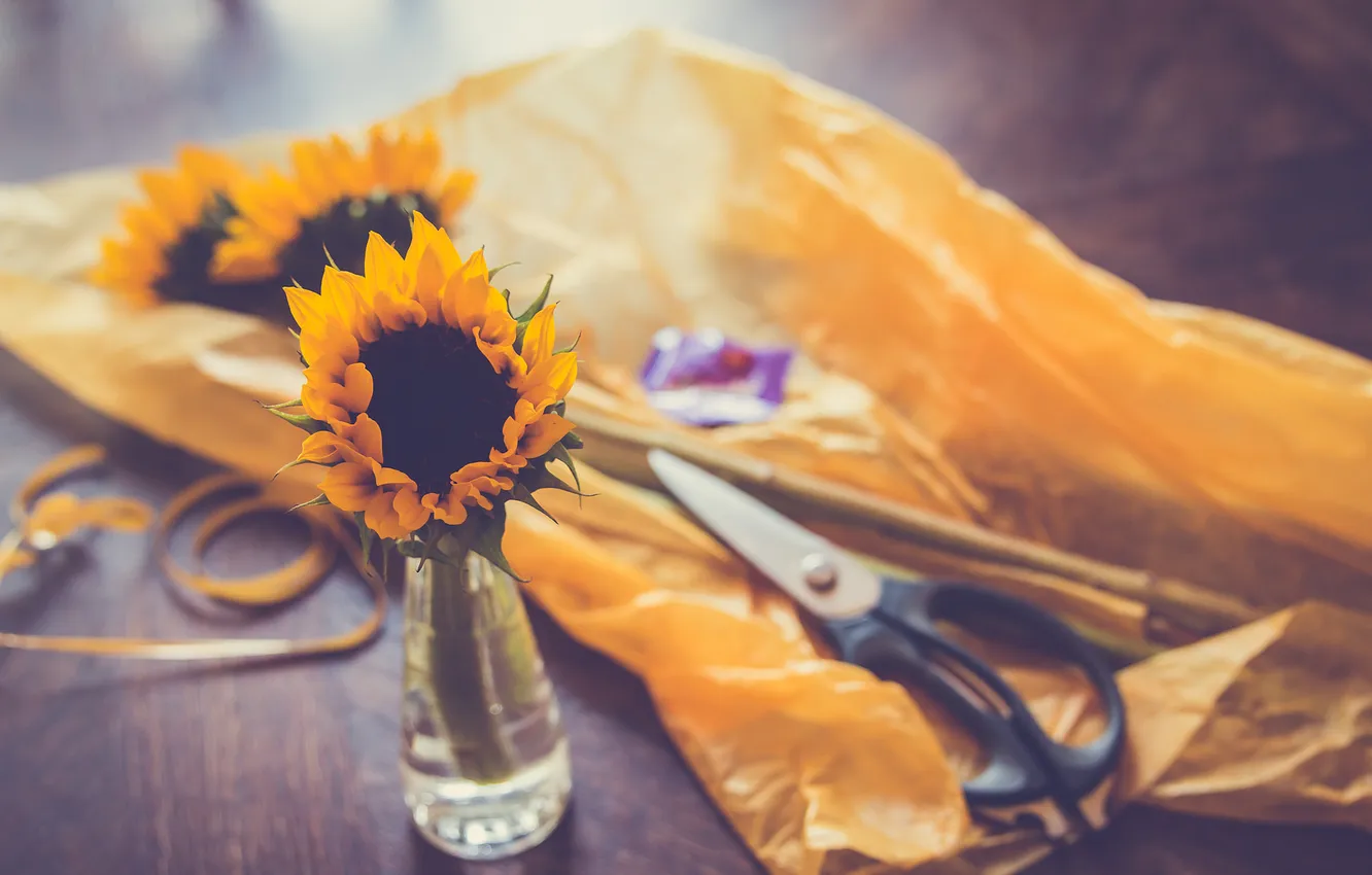 Photo wallpaper sunflowers, flowers, yellow, petals, scissors