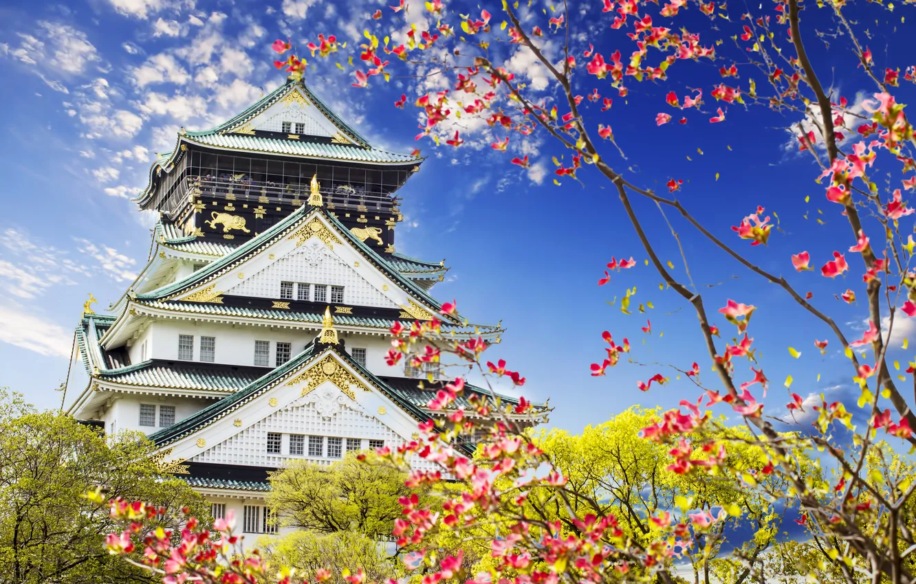 Photo wallpaper trees, flowers, the city, spring, Japan