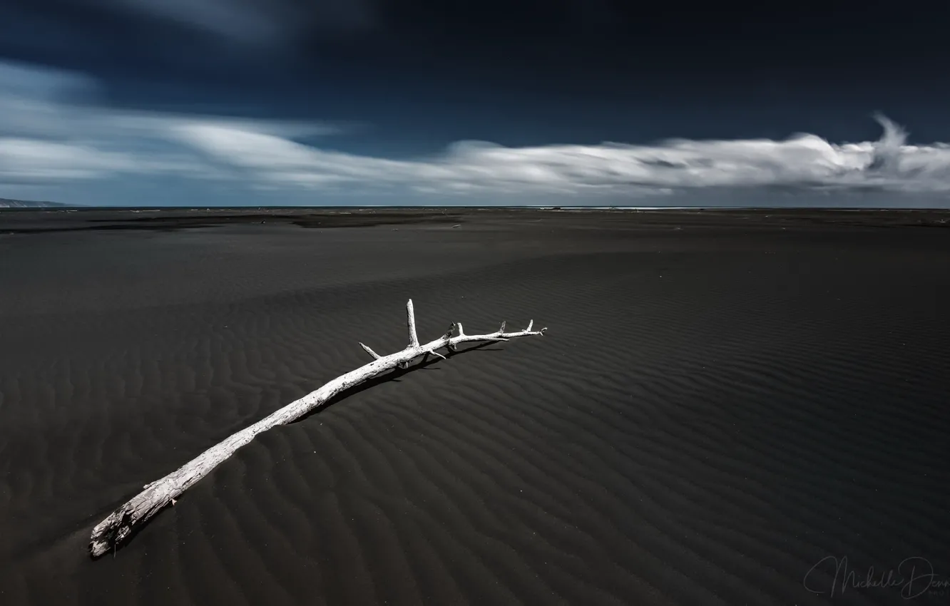 Photo wallpaper sea, trees, shore