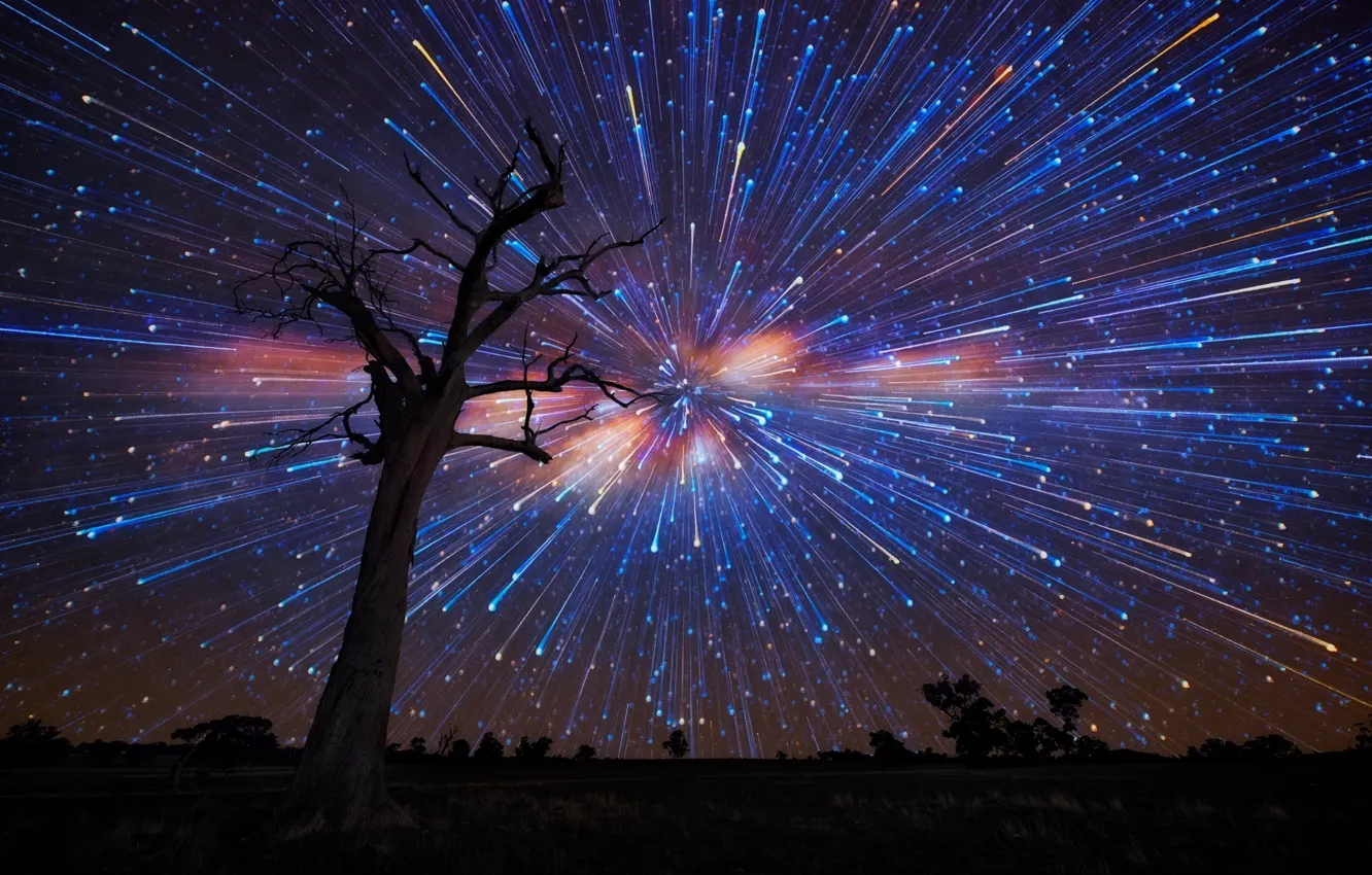Photo wallpaper the sky, stars, night, tree
