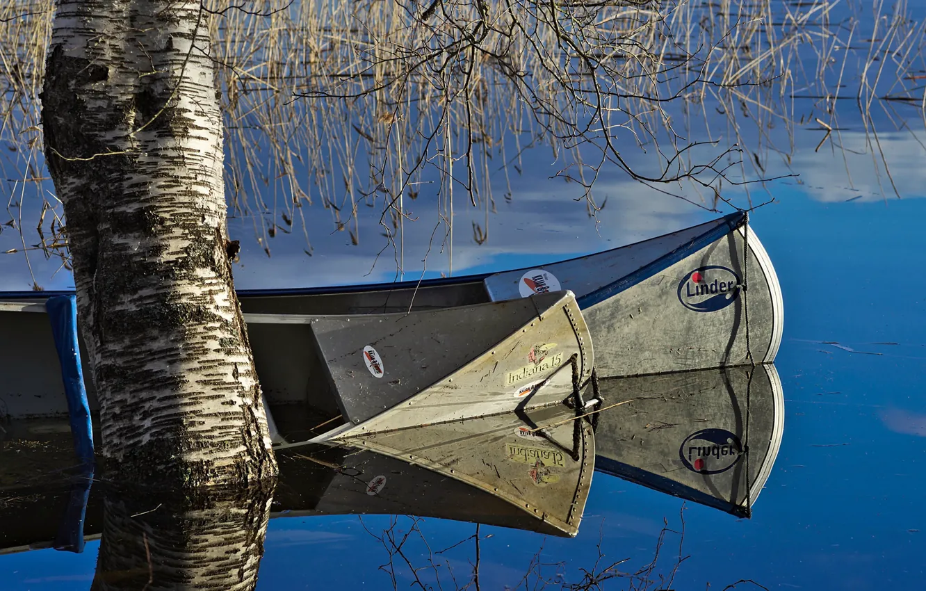 Photo wallpaper trees, lake, boat, spring