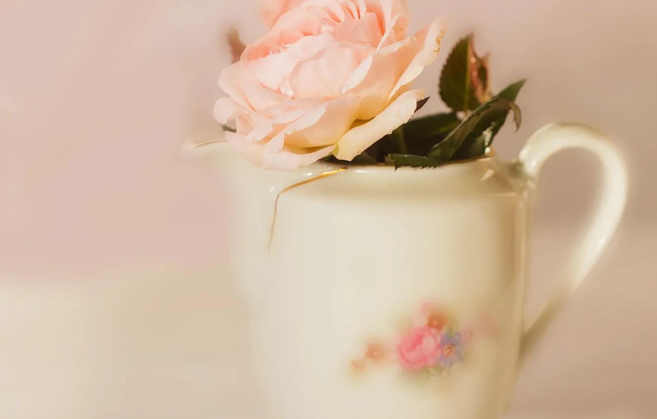 Photo wallpaper one, roses, blur, pitcher