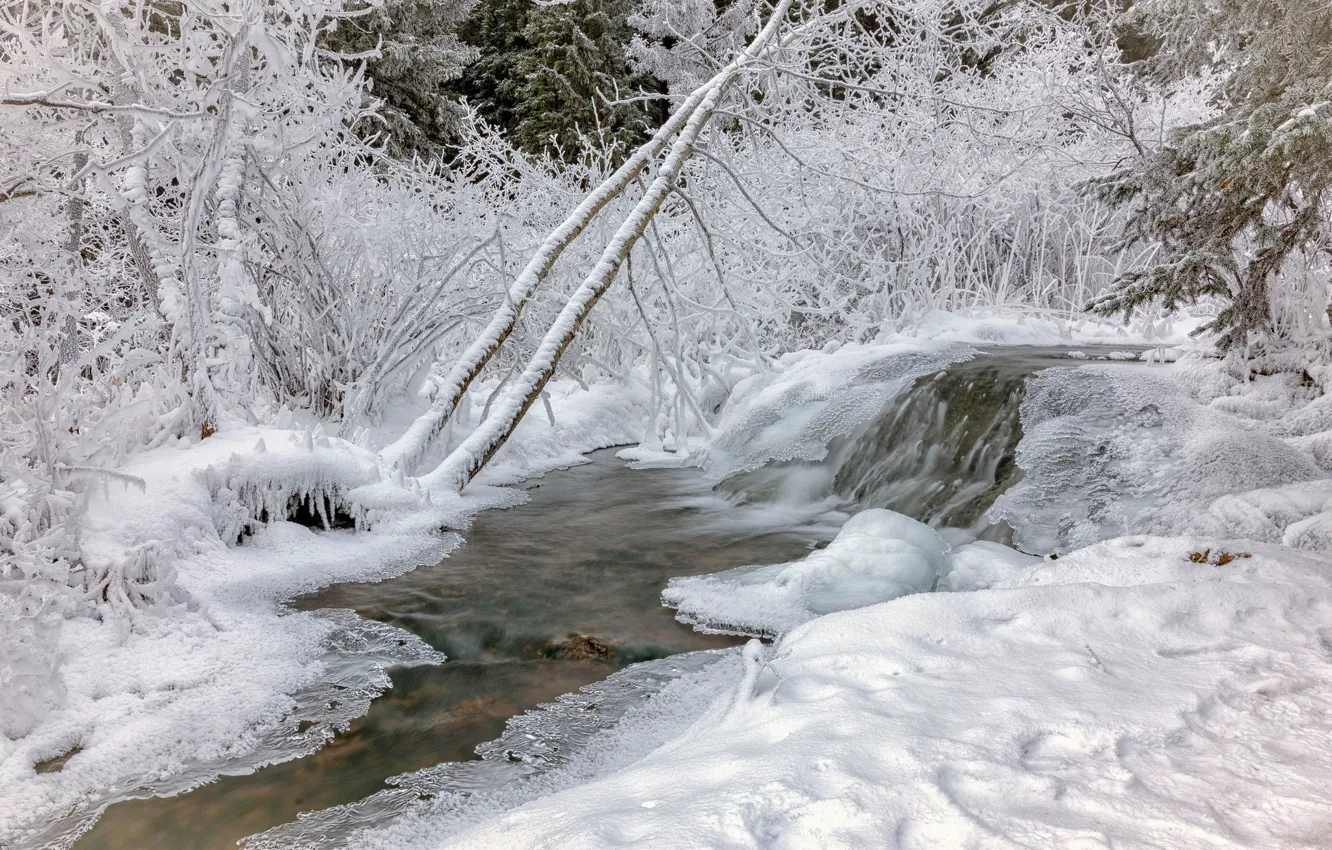 Photo wallpaper cold, winter, forest, snow, nature, river, ice