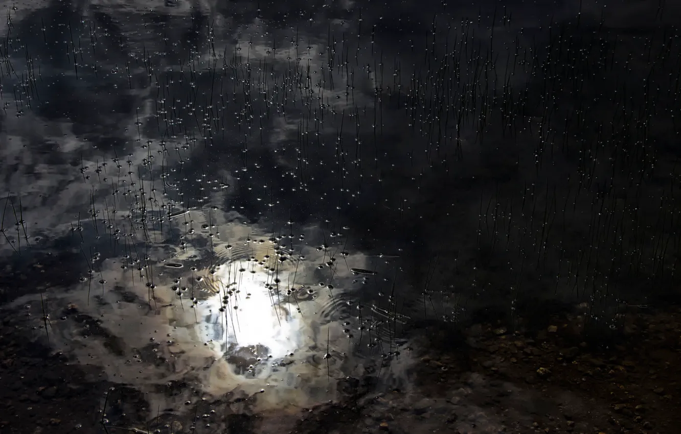 Photo wallpaper lake, reflection, Massachusetts