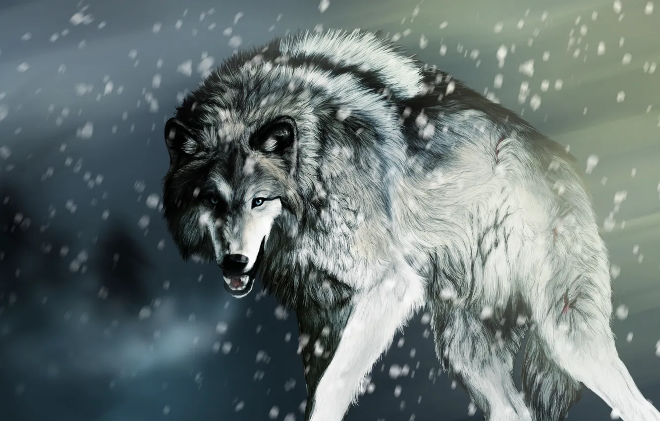 Photo wallpaper snow, rendering, wolf