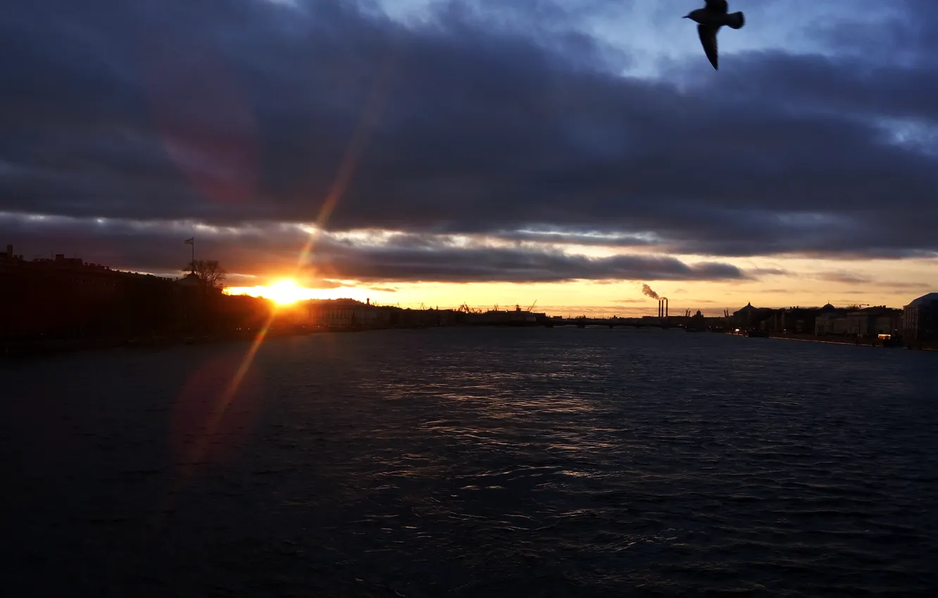 Photo wallpaper water, sunset, river, Saint Petersburg