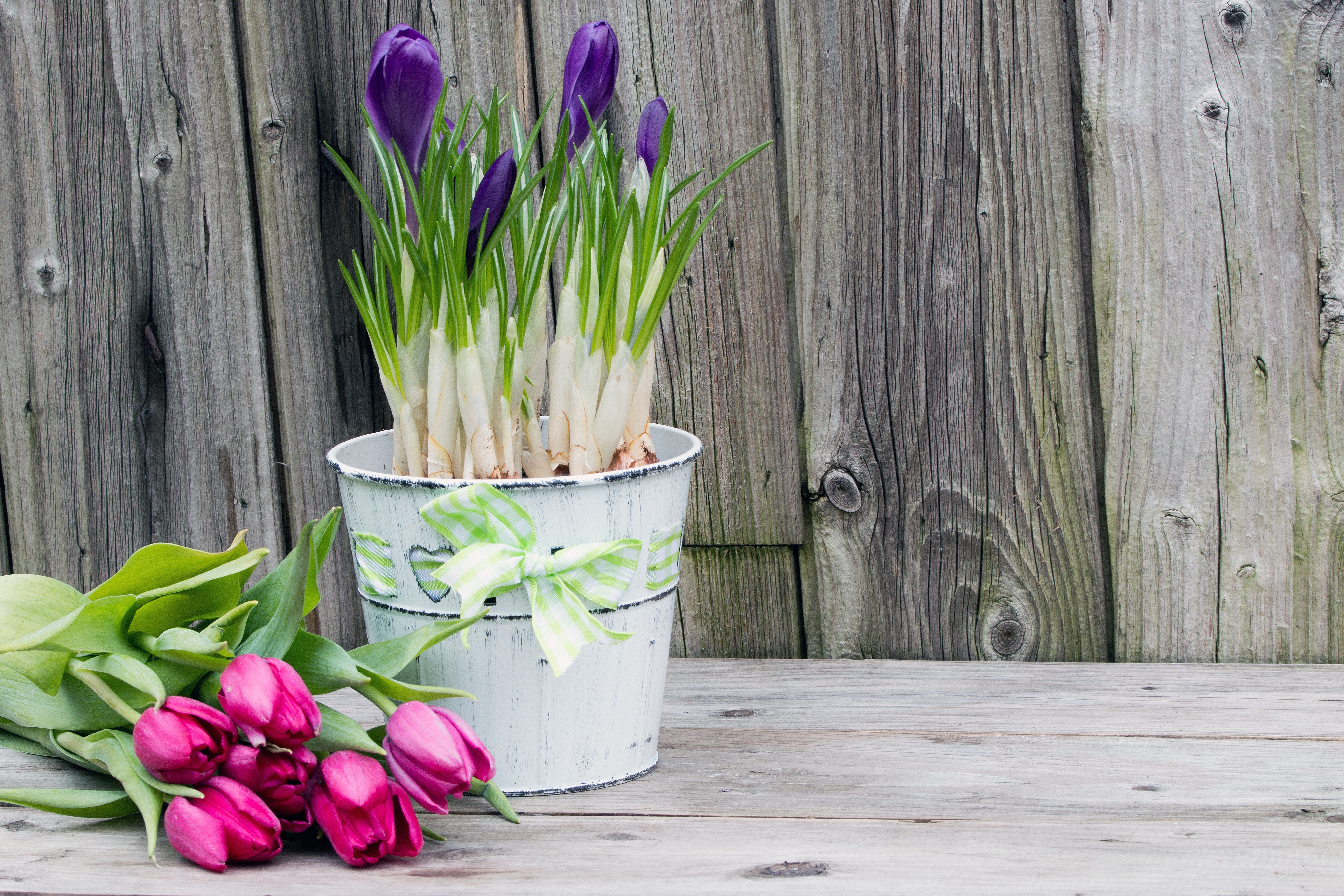 Нужно ли подрезать тюльпаны в вазе. Тюльпаны крокусы гиацинты. Тюльпан крем Фреш. Стильные цветы. Весенние тюльпаны.